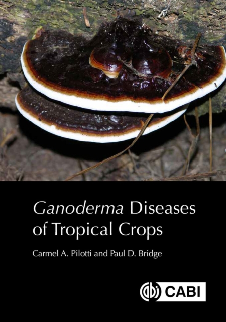 Ganoderma Diseases of Tropical Crops, Hardback Book