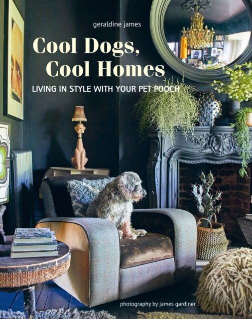Cool Dogs, Cool Homes : Living in Style with Your Pet Pooch, Hardback Book