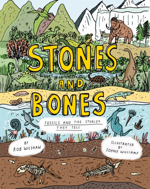 Stones and Bones : Fossils and the stories they tell, Hardback Book