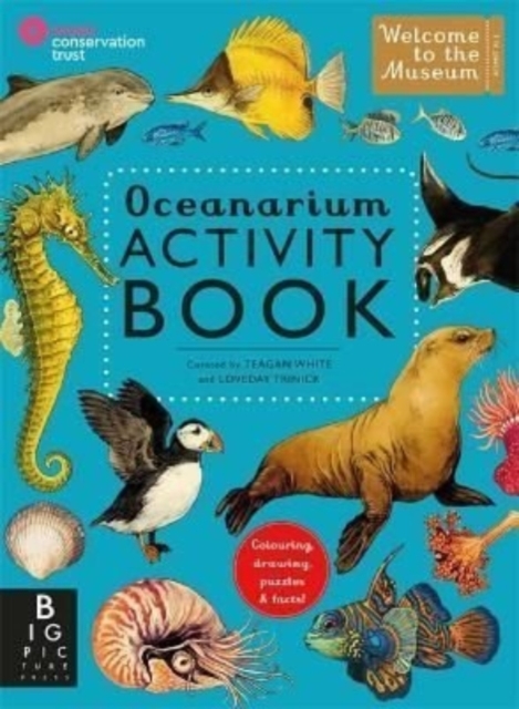 Oceanarium Activity, Paperback / softback Book