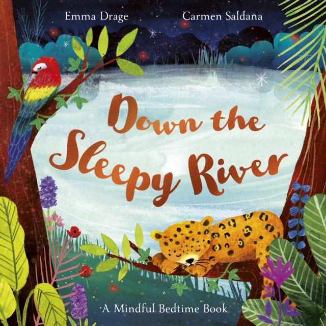 Down the Sleepy River : A Mindful Bedtime Book, Paperback / softback Book