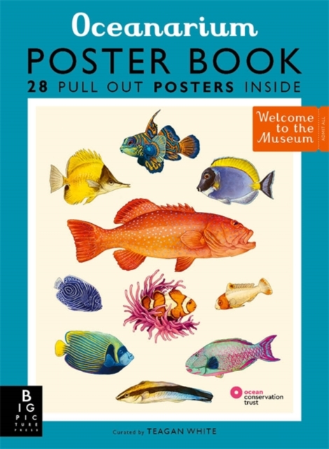 Oceanarium Poster Book, Paperback / softback Book