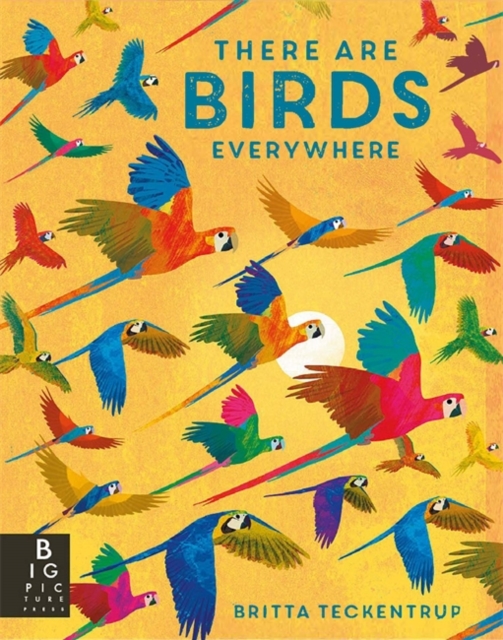 There are Birds Everywhere, Paperback / softback Book