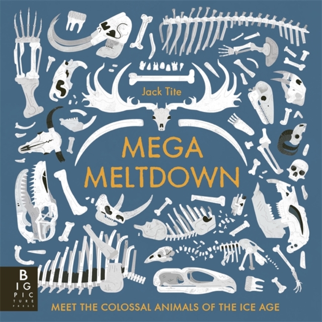 Mega Meltdown, Paperback / softback Book