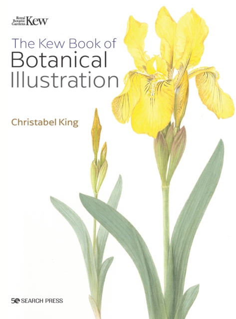 The Kew Book of Botanical Illustration (paperback edition), Paperback / softback Book