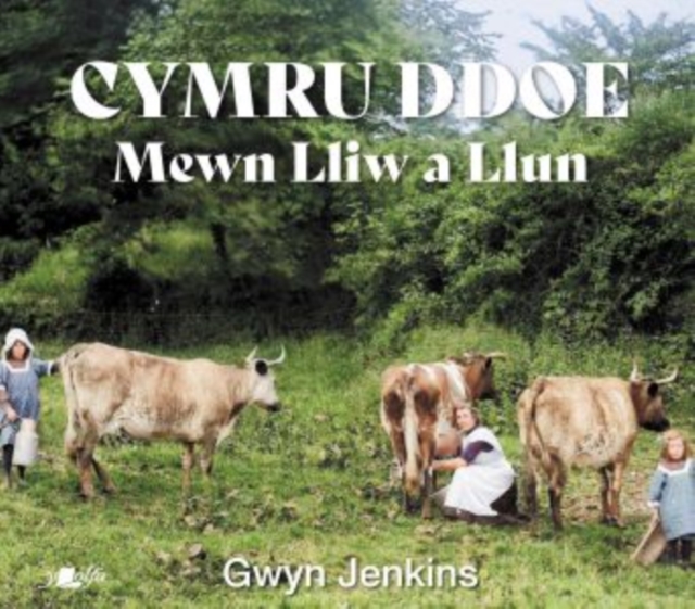 Cymru Ddoe Mewn Lliw a Llun, Hardback Book