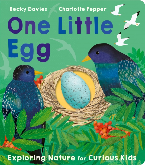 One Little Egg, Board book Book