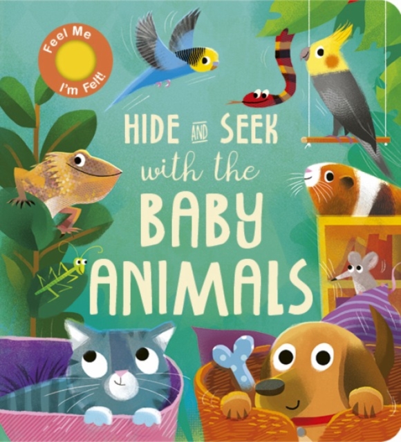 Hide and Seek with the Baby Animals, Board book Book