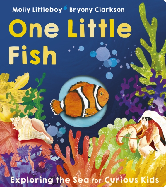 One Little Fish, Board book Book