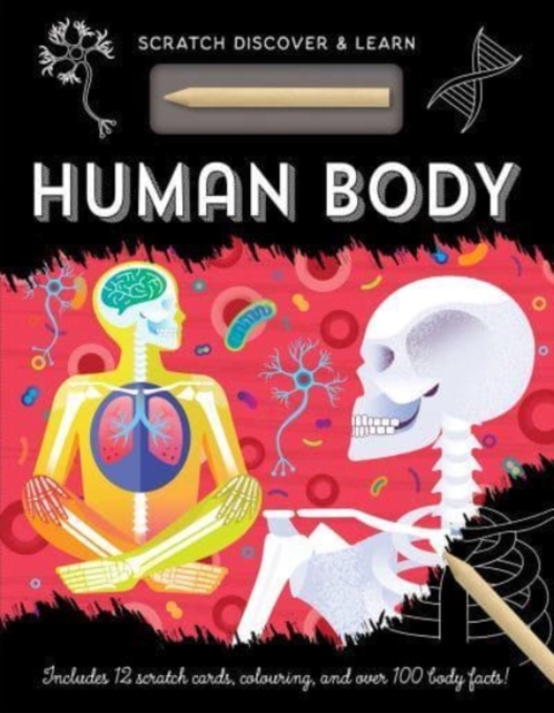 HUMAN BODY, Hardback Book