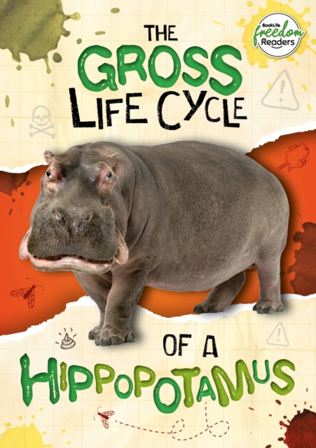 The Gross Life Cycle of a Hippopotamus, Paperback / softback Book
