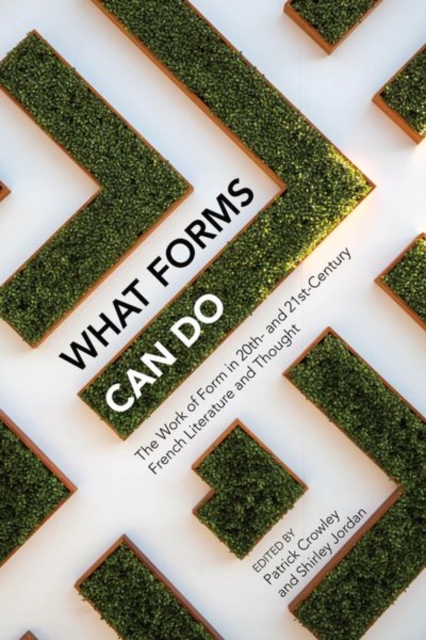 What Forms Can Do : The Work of Form in 20th- and 21st- Century French Literature and Thought, Paperback / softback Book