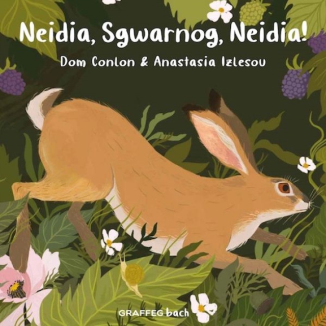 Neidia, Sgwarnog, Neidia!, Paperback / softback Book