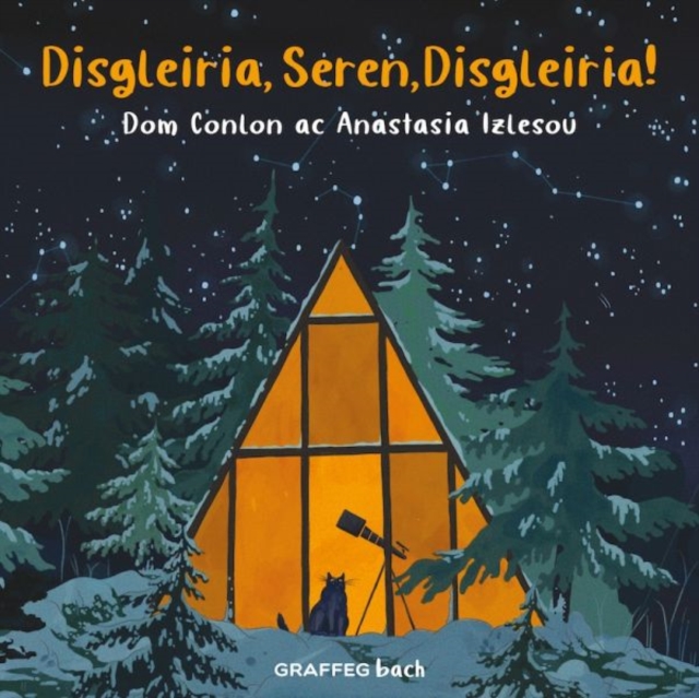 Disgleiria, Seren, Disgleiria!, Paperback / softback Book