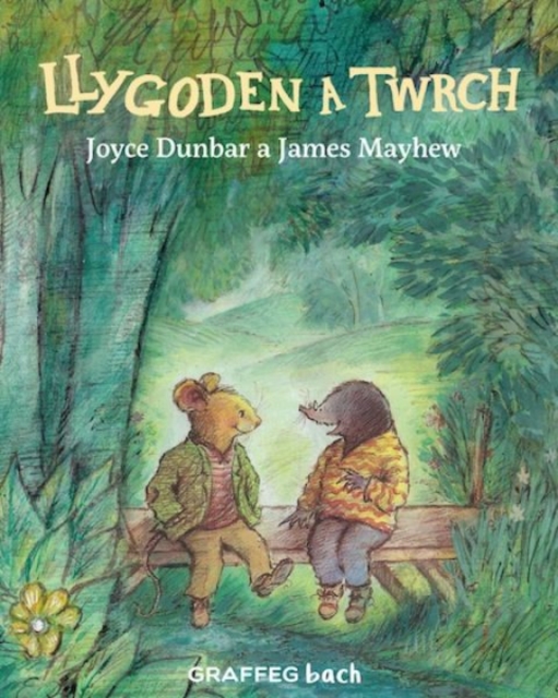 Llygoden a Twrch, Paperback / softback Book