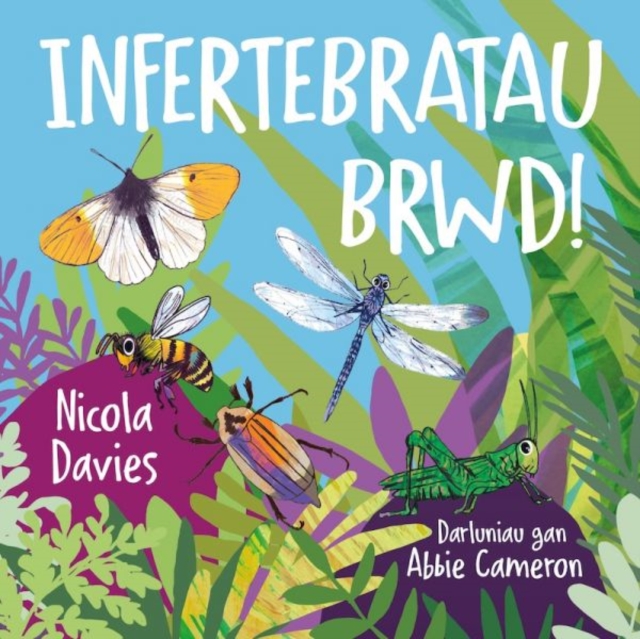 Infertebratau brwd!, Paperback / softback Book