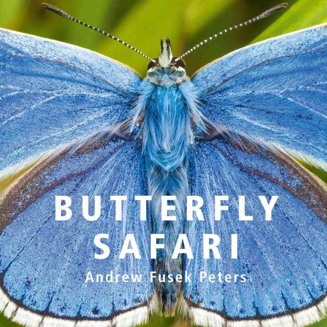 Butterfly Safari, EPUB eBook