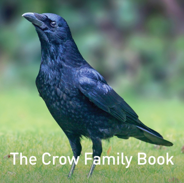 The Crow Family Book, EPUB eBook