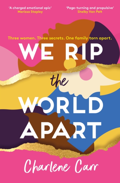 We Rip the World Apart : A sweeping story about motherhood, race and secrets, Paperback / softback Book