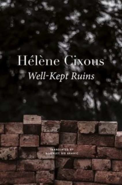 Well-Kept Ruins, Hardback Book