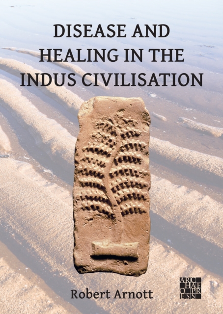 Disease and Healing in the Indus Civilisation, Paperback / softback Book
