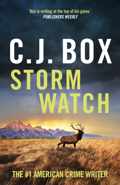 Storm Watch, EPUB eBook