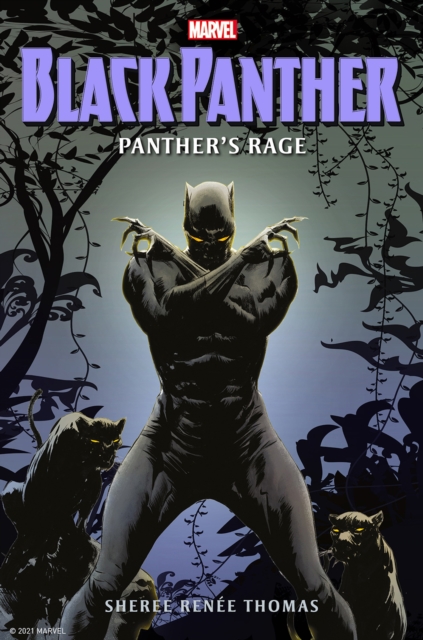 Black Panther: Panther's Rage, Hardback Book