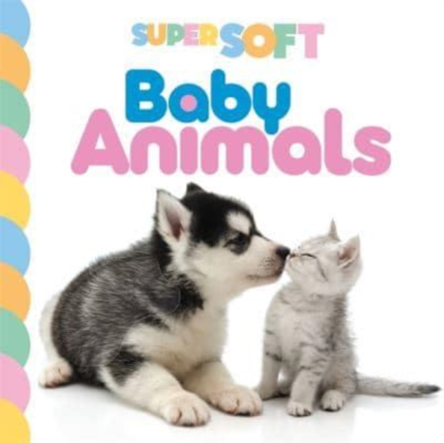 Super Soft Baby Animals, Novelty book Book