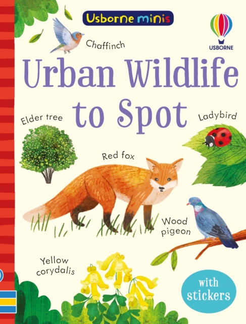 Urban Wildlife to Spot, Paperback / softback Book