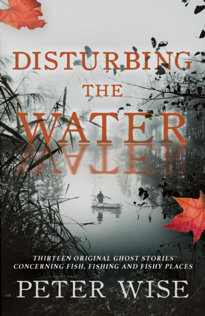 Disturbing the Water, Paperback / softback Book