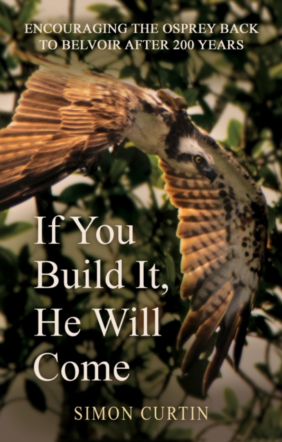If You Build It, He Will Come, Paperback / softback Book