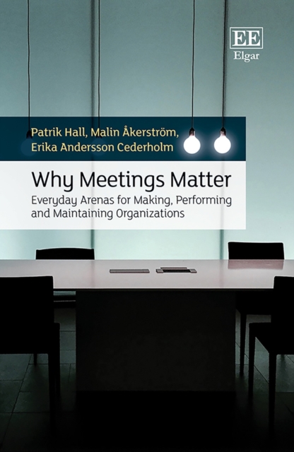 Why Meetings Matter : Everyday Arenas for Making, Performing and Maintaining Organisations, PDF eBook