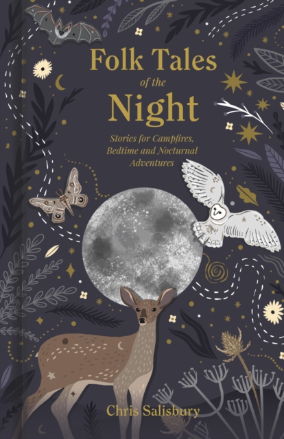 Folk Tales of the Night : Stories for Campfires, Bedtime and Nocturnal Adventures, Hardback Book