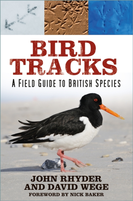 Bird Tracks : A Field Guide to British Species, Paperback / softback Book