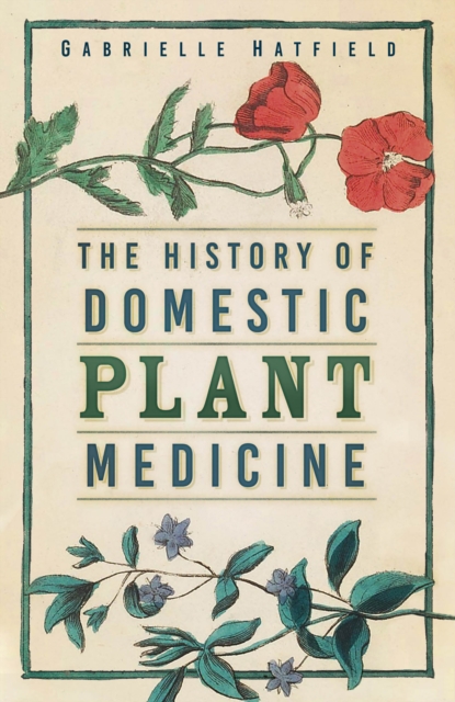 The History of Domestic Plant Medicine, Paperback / softback Book