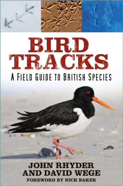 Bird Tracks, EPUB eBook