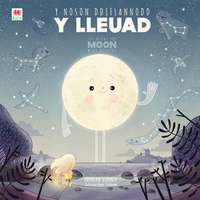 Noson Ddiflannodd y Lleuad, Y / Night the Moon Went Missing, The, PDF eBook