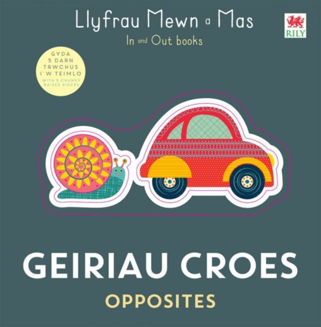 Geiriau Croes / Opposites, Hardback Book