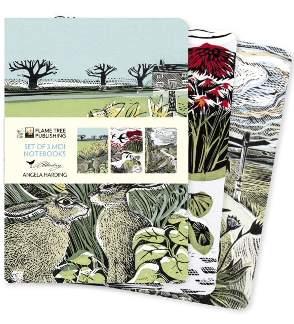 Angela Harding: Landscapes Set of 3 Midi Notebooks, Notebook / blank book Book