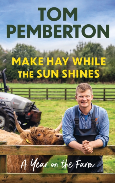 Make Hay While the Sun Shines, Paperback Book