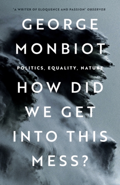 How Did We Get Into This Mess? : Politics, Equality, Nature, Paperback / softback Book