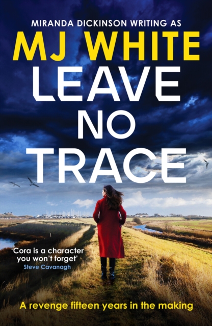 Leave No Trace : A suspenseful, twisty detective novel, Paperback / softback Book
