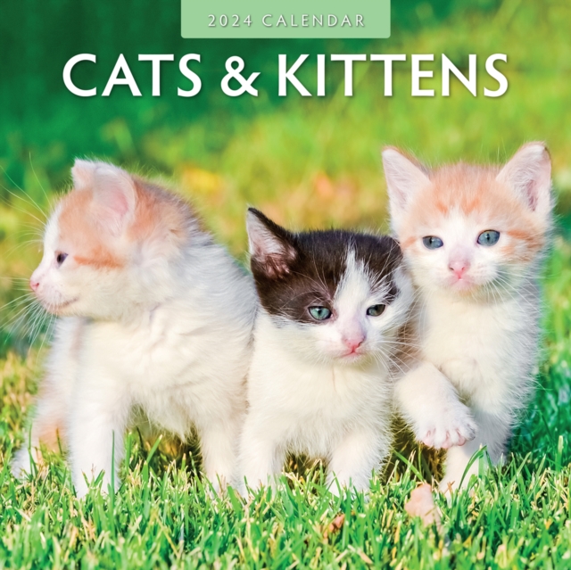 Cats & Kittens 2024 Square Wall Calendar, Paperback / softback Book