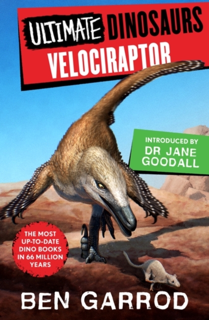 Velociraptor, Paperback / softback Book