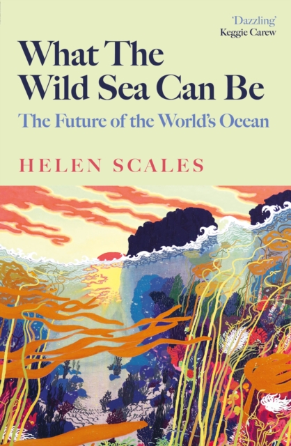 What the Wild Sea Can Be : The Future of the World's Ocean, Hardback Book
