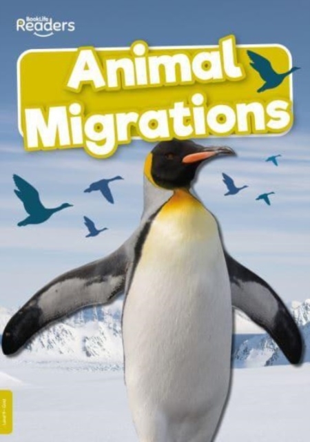 Animal Migrations, Paperback / softback Book