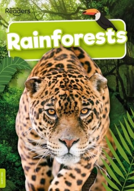 Rainforests, Paperback / softback Book