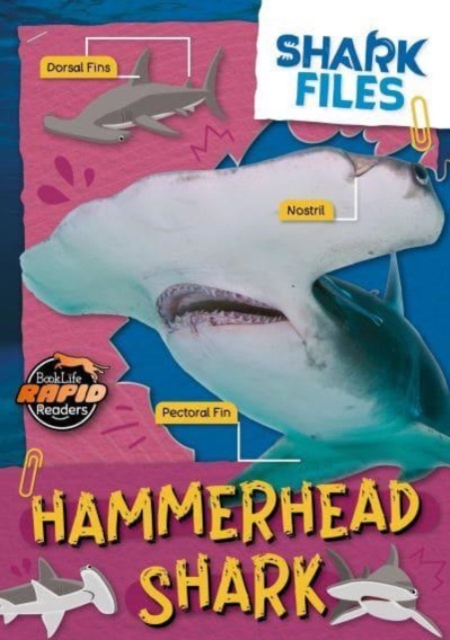 Hammerhead Shark, Paperback / softback Book