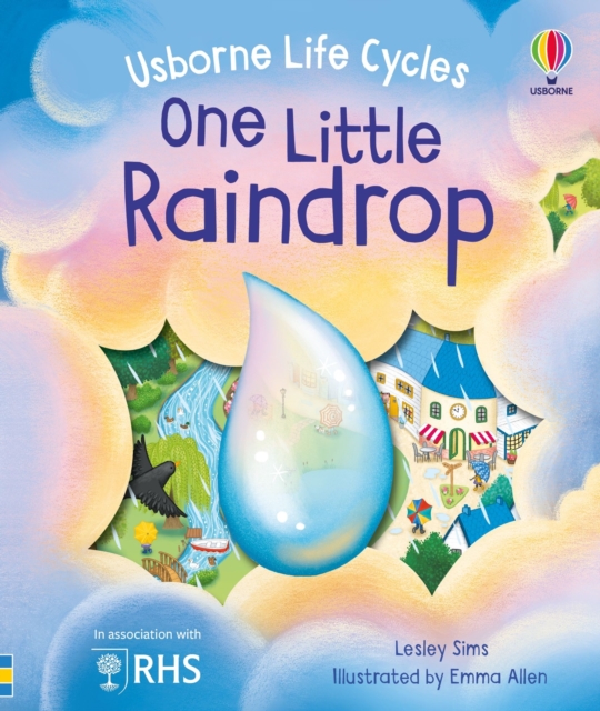 One Little Raindrop, Board book Book