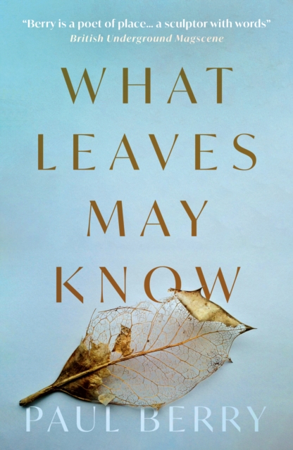 What Leaves May Know, Paperback / softback Book